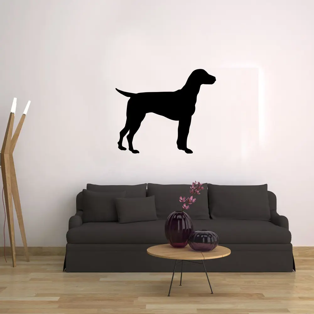 KÖPEK FOLYO STİCKER DERSTV891 KÖPEK FOLYO STİCKER DERSTV891