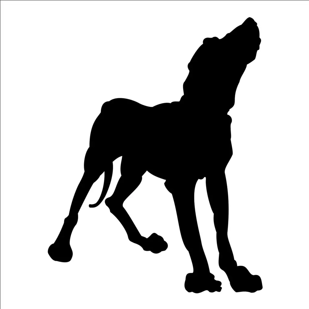 KÖPEK FOLYO STİCKER DERSTV893 KÖPEK FOLYO STİCKER DERSTV893