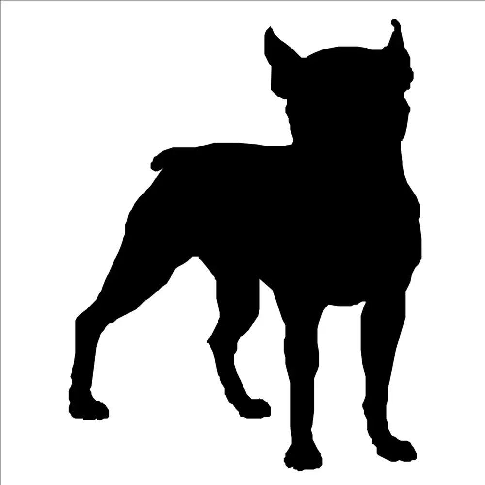 KÖPEK FOLYO STİCKER KÖPEK FOLYO STİCKER