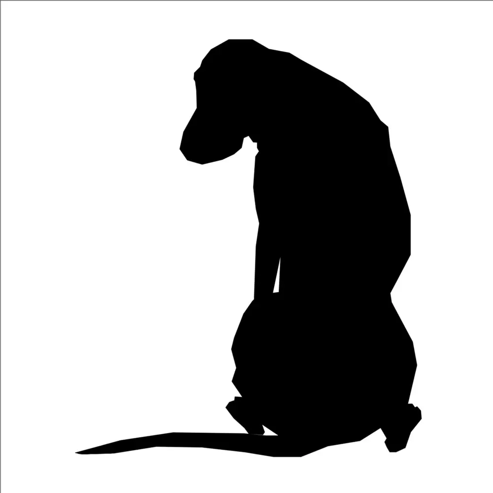 KÖPEK FOLYO STİCKER KÖPEK FOLYO STİCKER