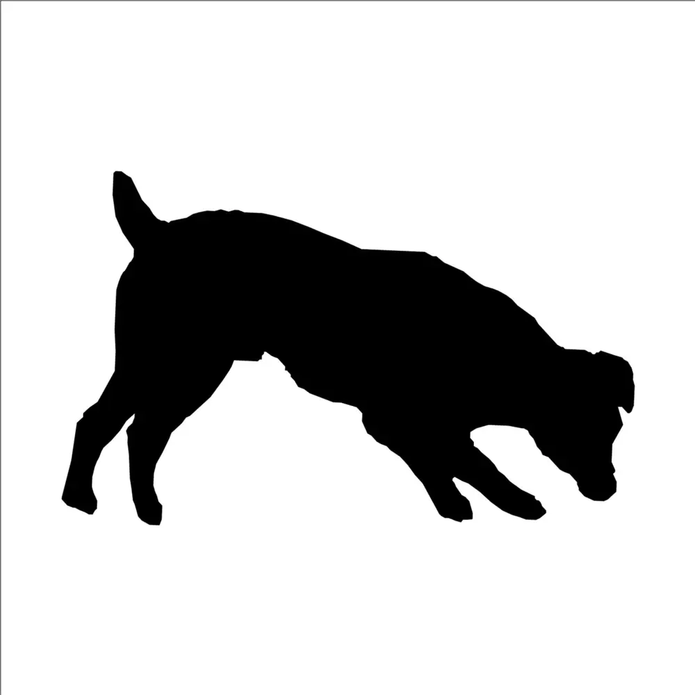 KÖPEK FOLYO STİCKER KÖPEK FOLYO STİCKER