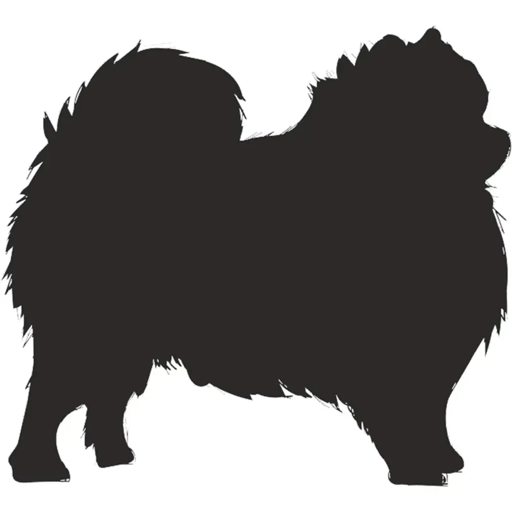 KÖPEK FOLYO STİCKER KÖPEK FOLYO STİCKER