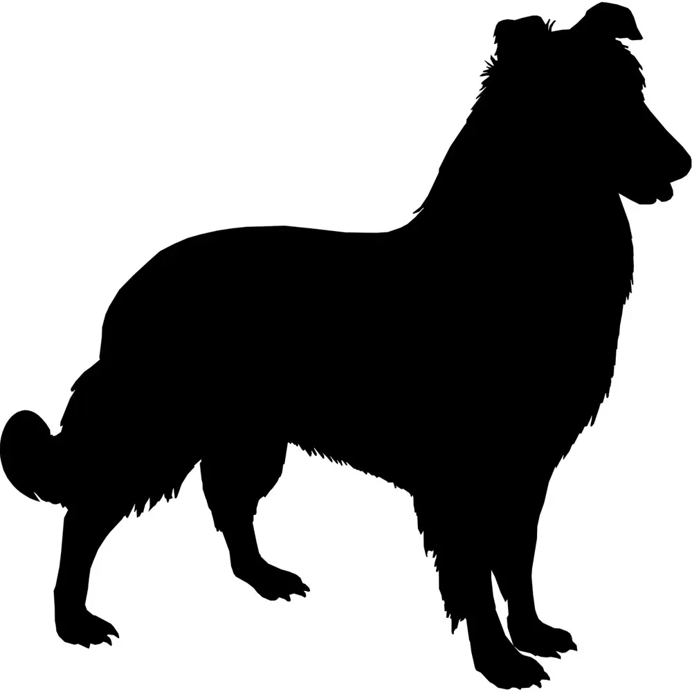 KÖPEK FOLYO STİCKER