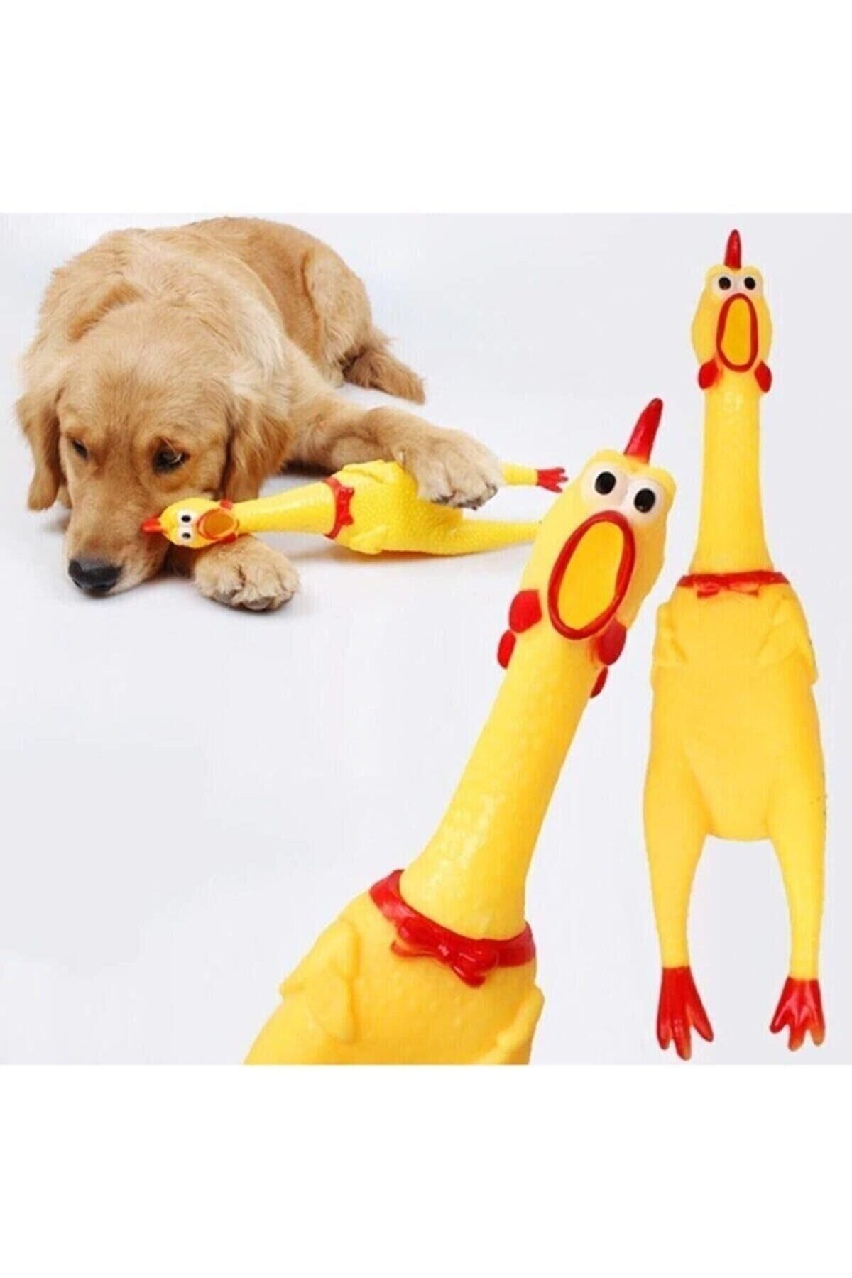 Köpek Için Öten Tavuk Horoz Oyuncak 15 Cm