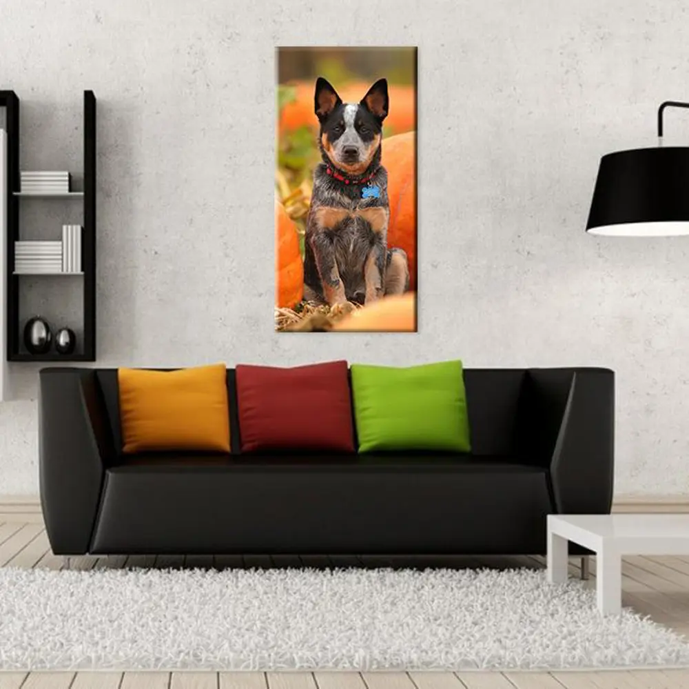 Köpek Kanvas Tablo