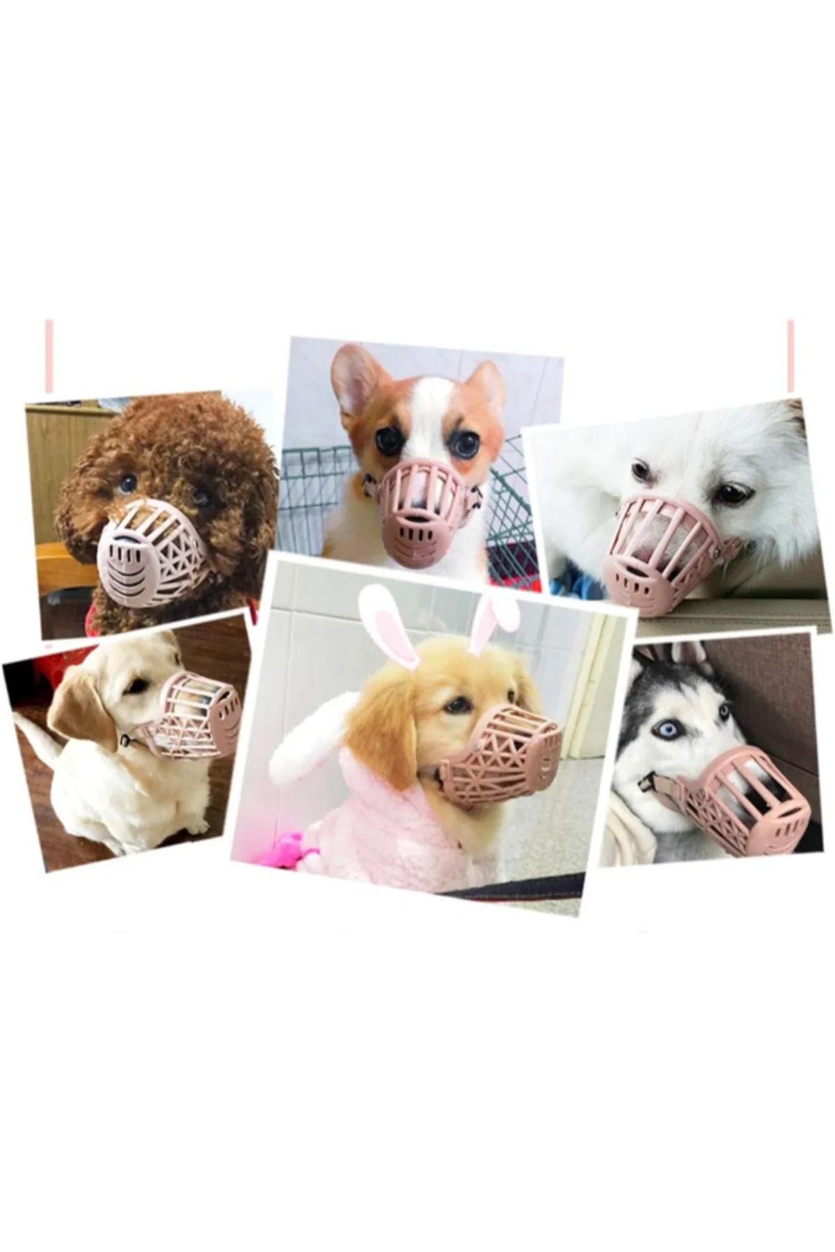 Köpek Koruma Ağızlığı 7'li Set - Görsel 2