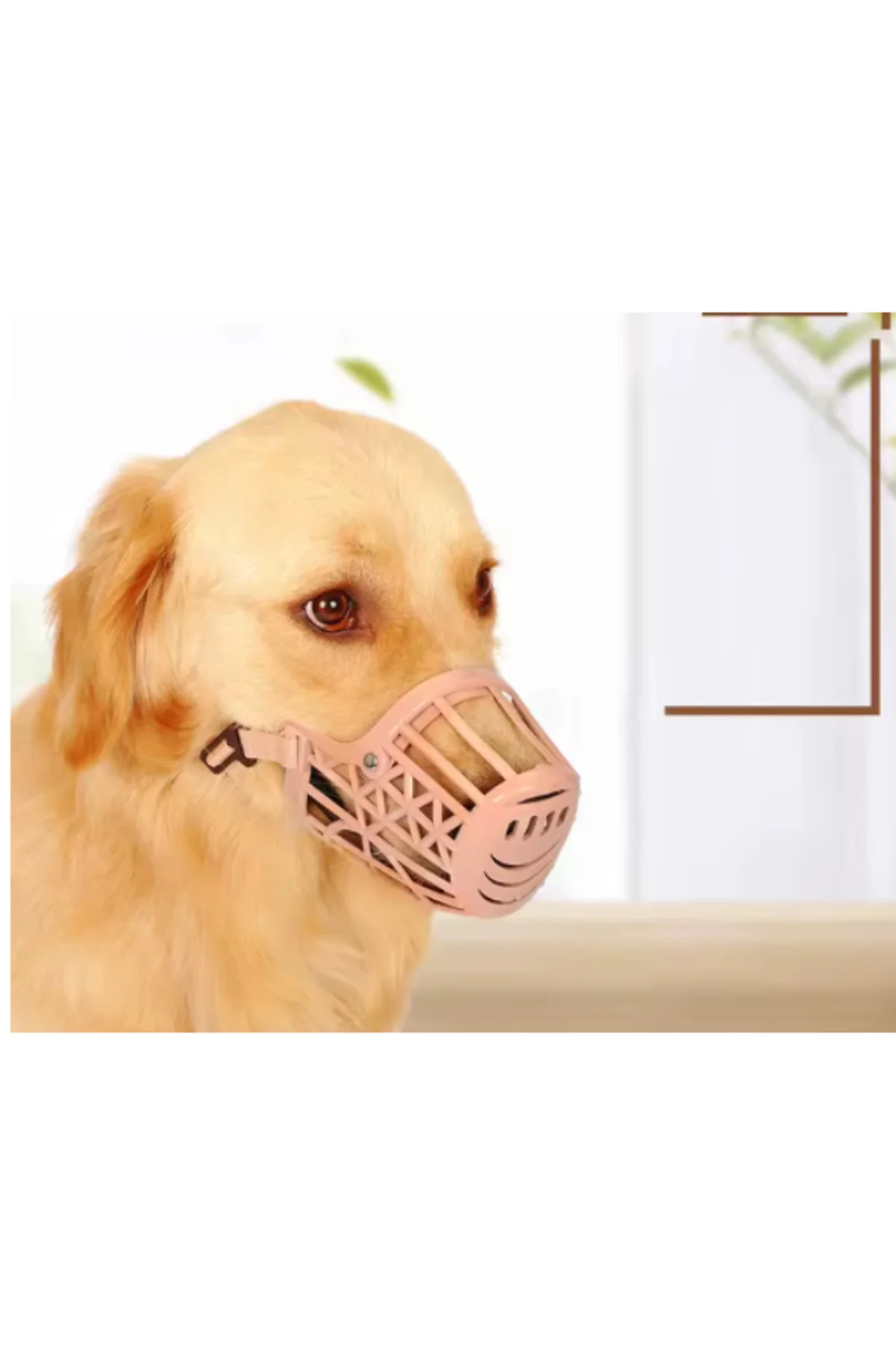 Köpek Koruma Ağızlığı 7'li Set - Görsel 4