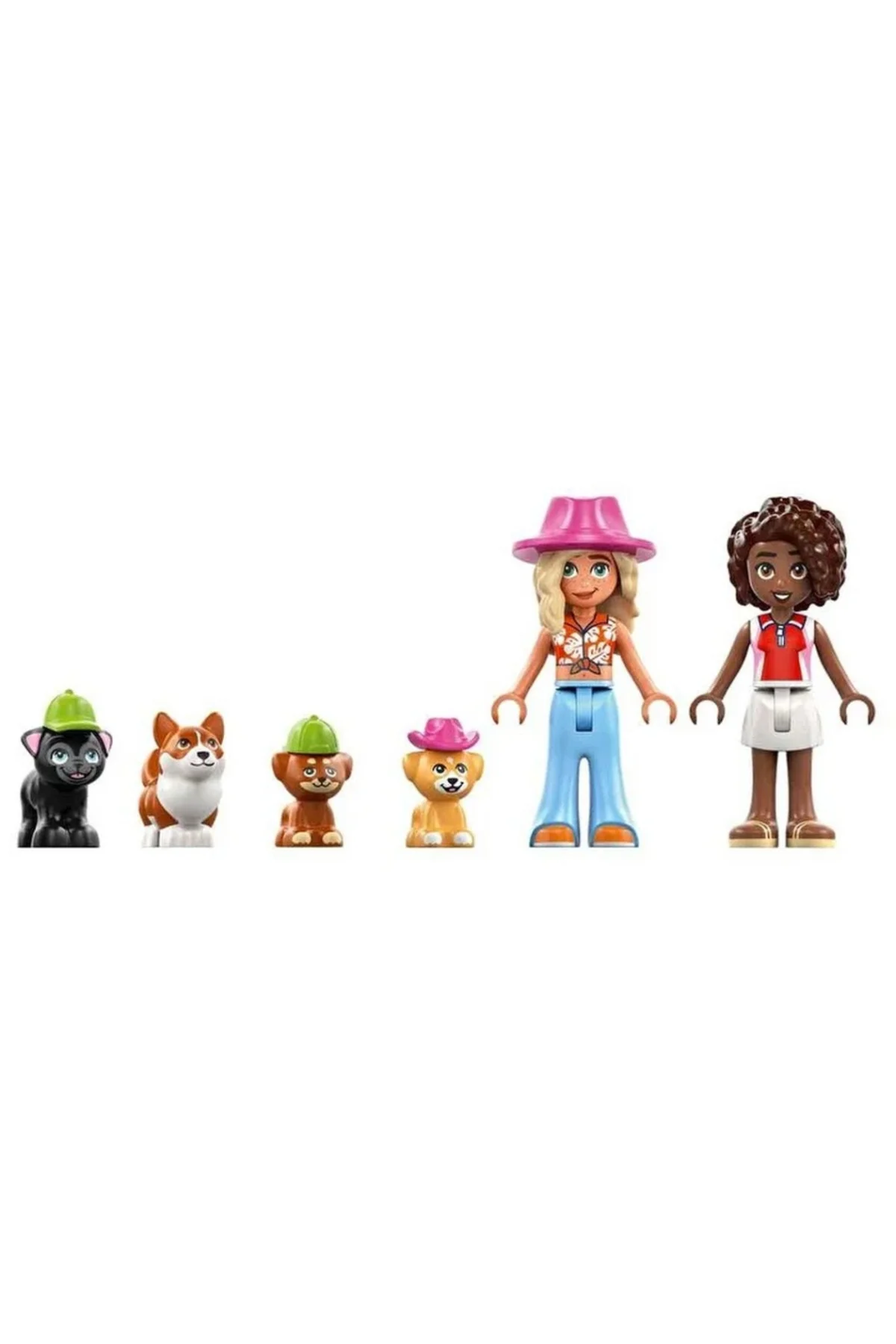Köpek Ödülleri Pastanesi 42677