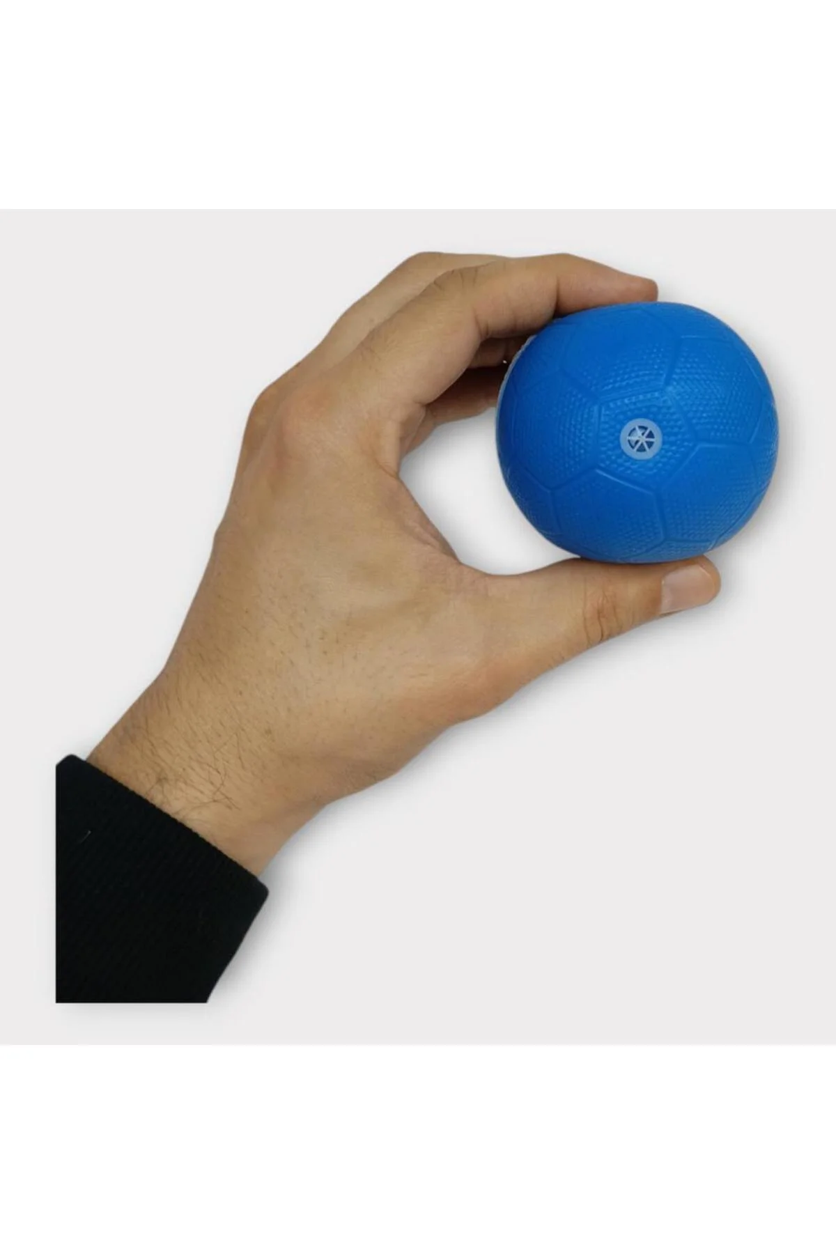 Köpek Oyuncağı - Plastik Düdüklü Top - Mavi (Lisinya)