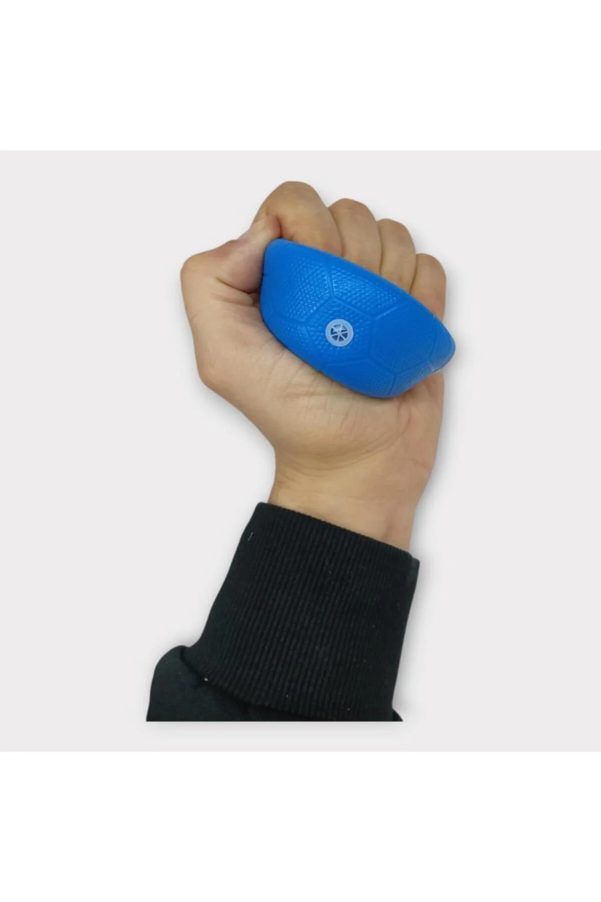 Köpek Oyuncağı - Plastik Düdüklü Top - Mavi (Lisinya)