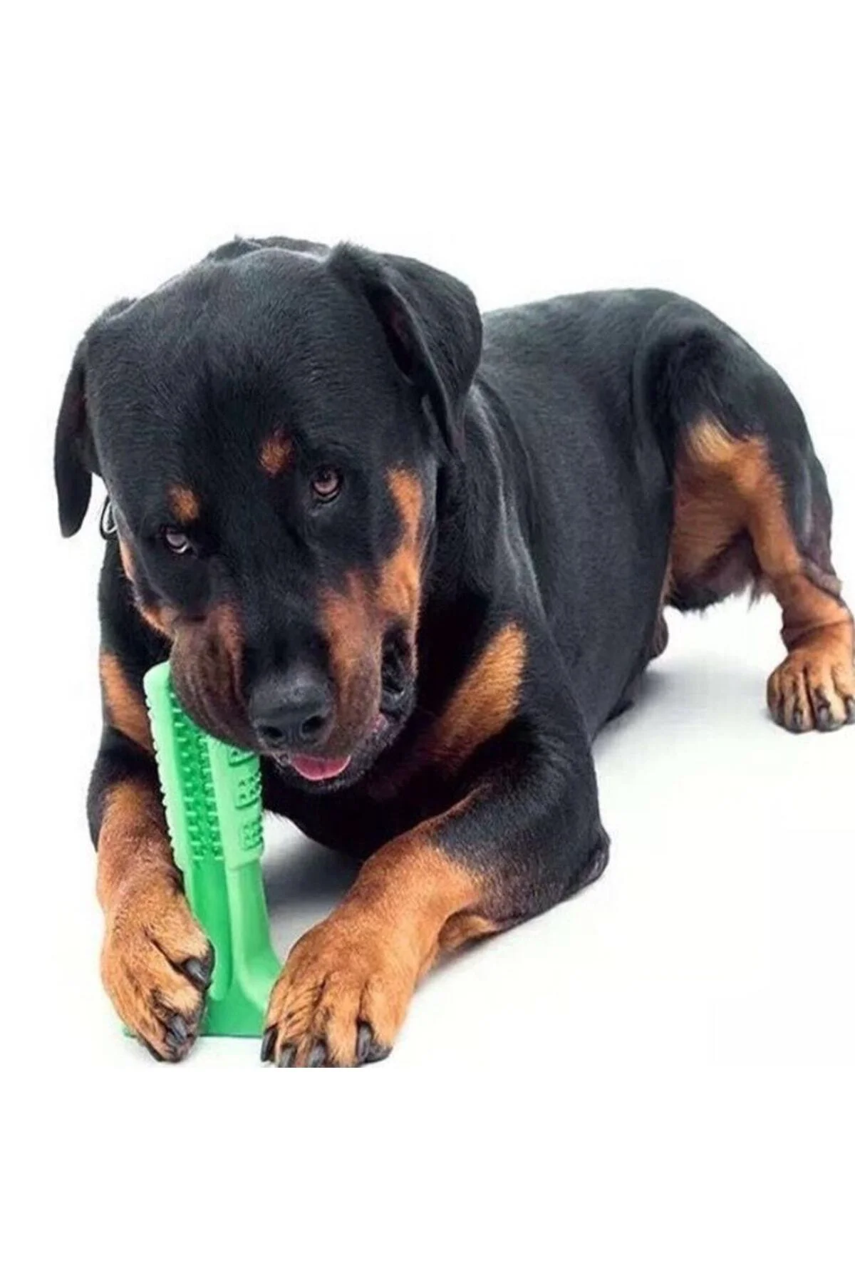 Köpek Oyuncakları Küçük Köpek Oyuncakları Küçük