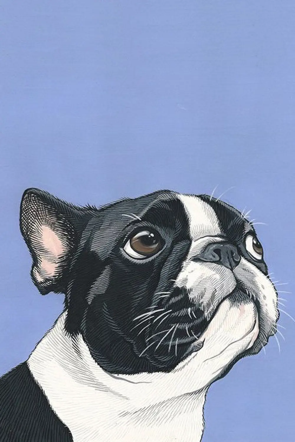 Köpek Tasarımlı Ahşap Poster