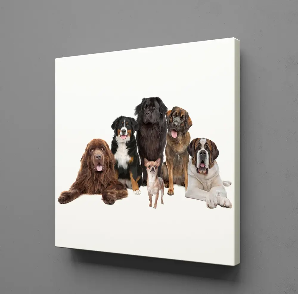 KÖPEK TOPLULUĞU KANVAS TABLO KÖPEK TOPLULUĞU KANVAS TABLO