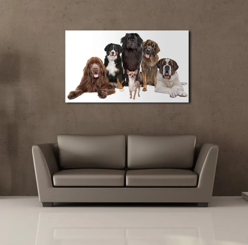 KÖPEK TOPLULUĞU KANVAS TABLO KÖPEK TOPLULUĞU KANVAS TABLO