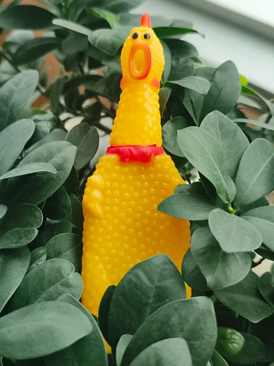 Köpek Tuvalet Eğitim Seti Hijyenik ve Pratik Çözüm