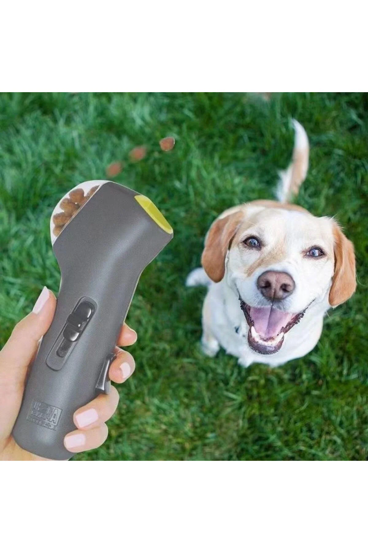 Köpek ve Kedi Mama Atma Oyuncağı – İnteraktif Ödül Dispenseri, Eg