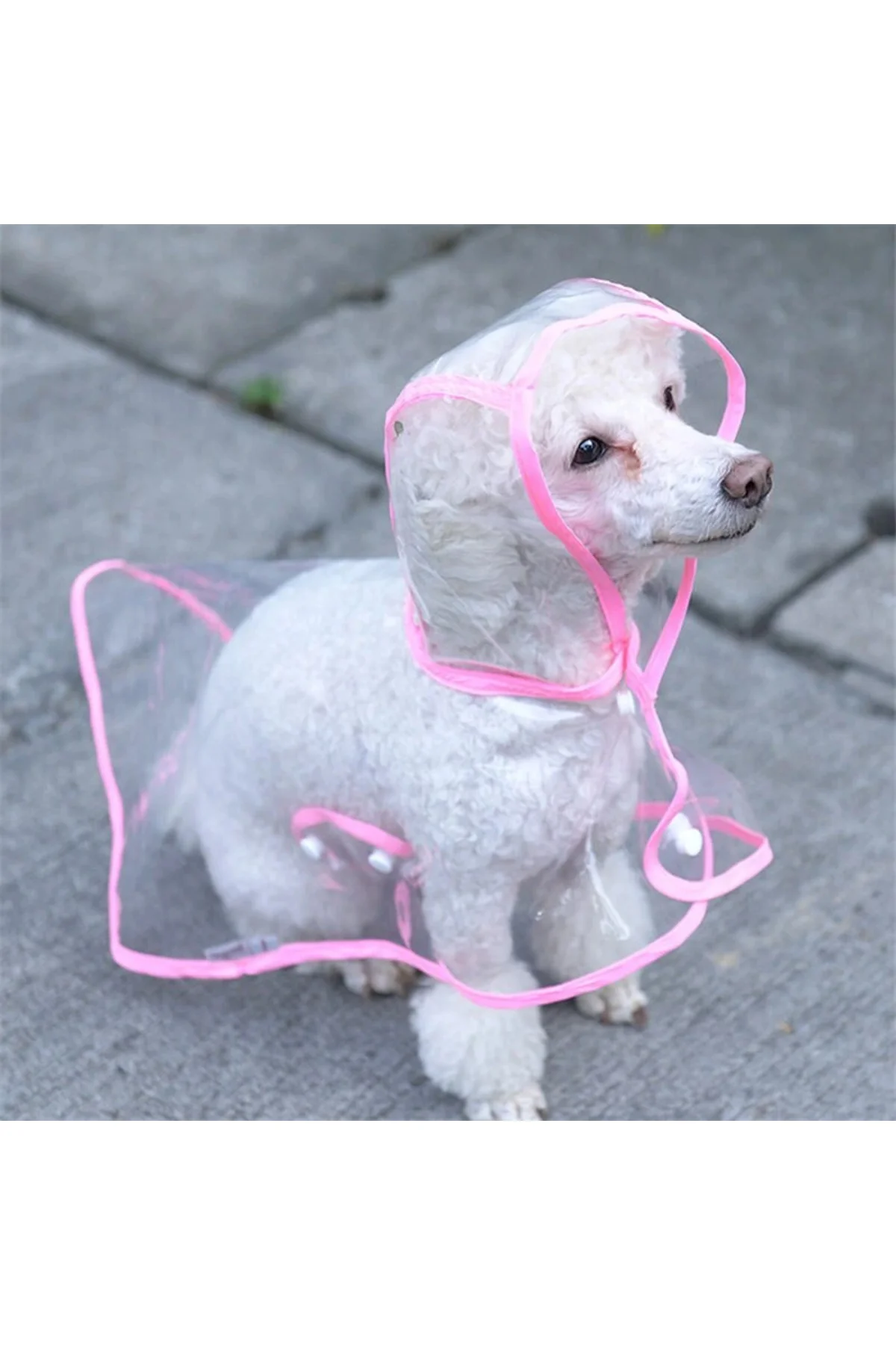 Köpek Yağmurluğu -Sarı - (Small) - Görsel 3