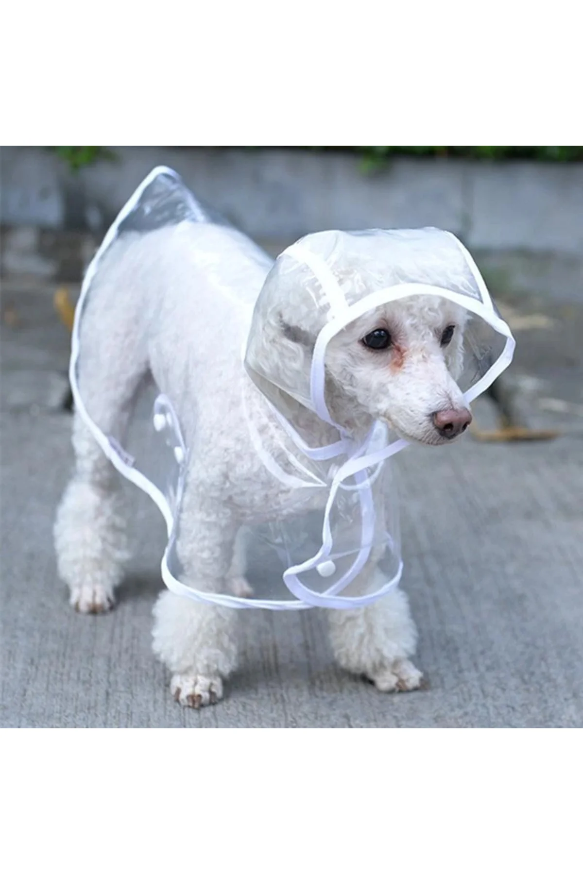 Köpek Yağmurluğu -Sarı - (Small) - Görsel 2