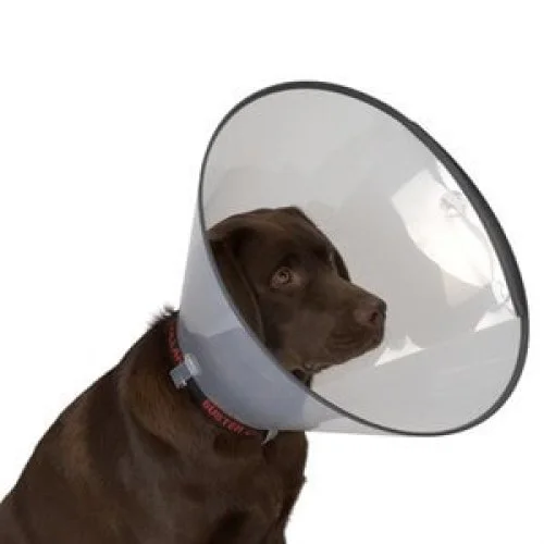 Köpek Yakalığı 20 CM Fiyatı, Yorumları ve Özellikleri