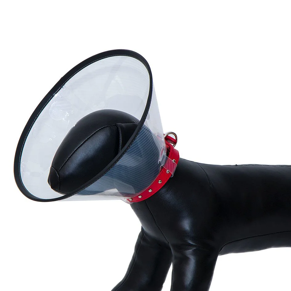 Köpek Yakalığı 20 CM Fiyatı, Yorumları ve Özellikleri