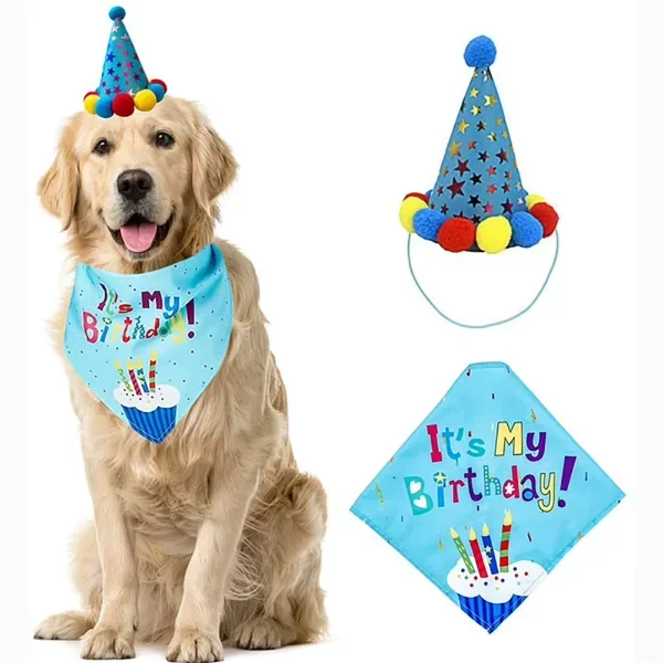 Köpekler İçin Doğum Günü Partisi Seti - Kutlama Malzemeleri
