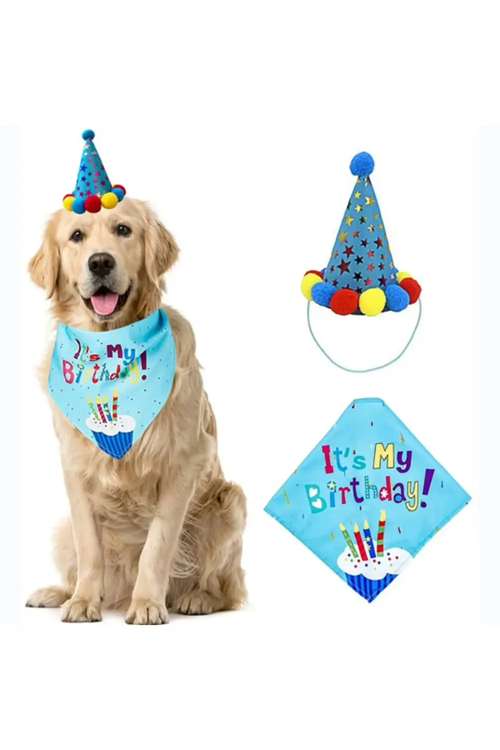 Köpekler İçin Doğum Günü Partisi Seti