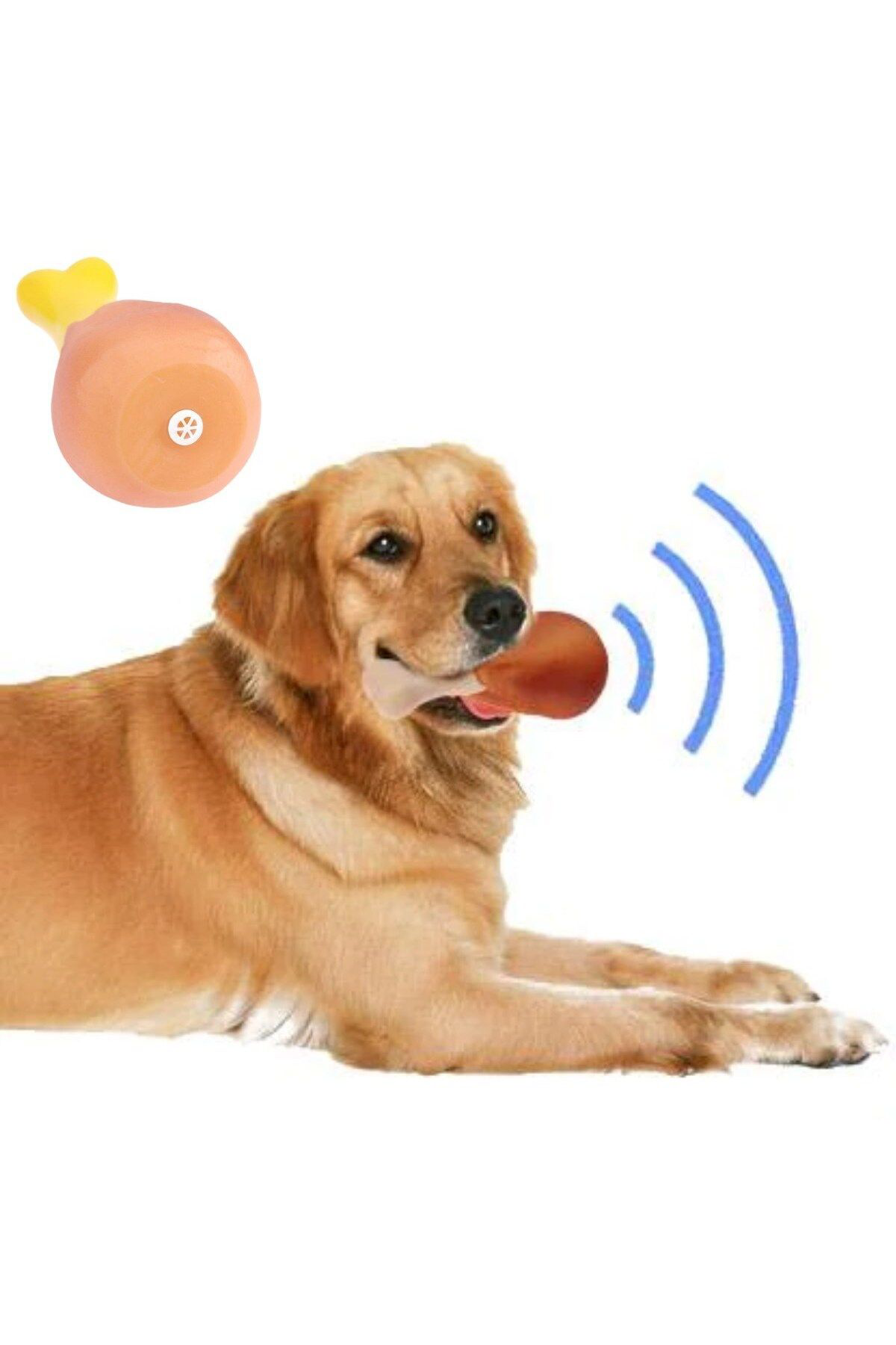 Ok Aksesuar Köpekler İçin Oyuncak Tavuk Budu Go50607142060 Ok Aksesuar Köpekler İçin Oyuncak Tavuk Budu Go50607142060