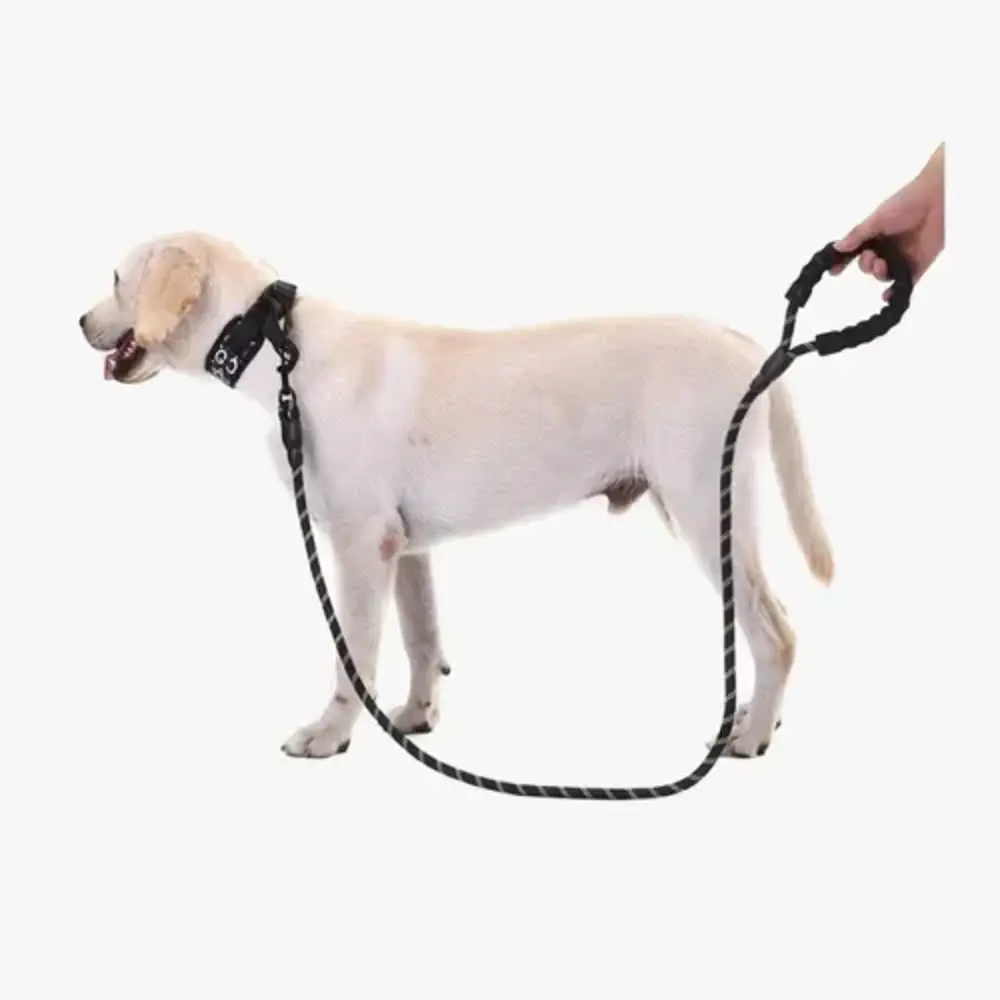 Köpekler İçin Reflektörlü Halat Gezdirme Tasması
