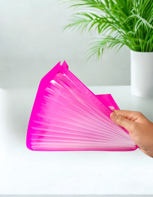 Limmy Körüklü Dosya 13 Bölümlü Cepli - Pembe