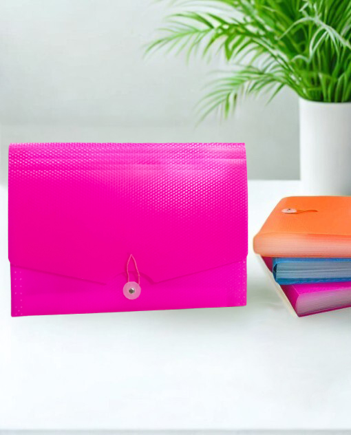 Limmy Körüklü Dosya 13 Bölümlü Cepli - Pembe