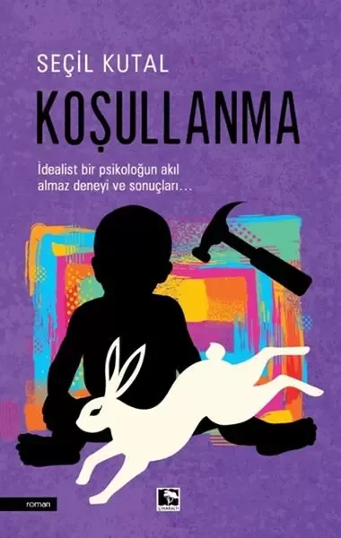 Koşullanma Fiyatı, Yorumları ve Özellikleri