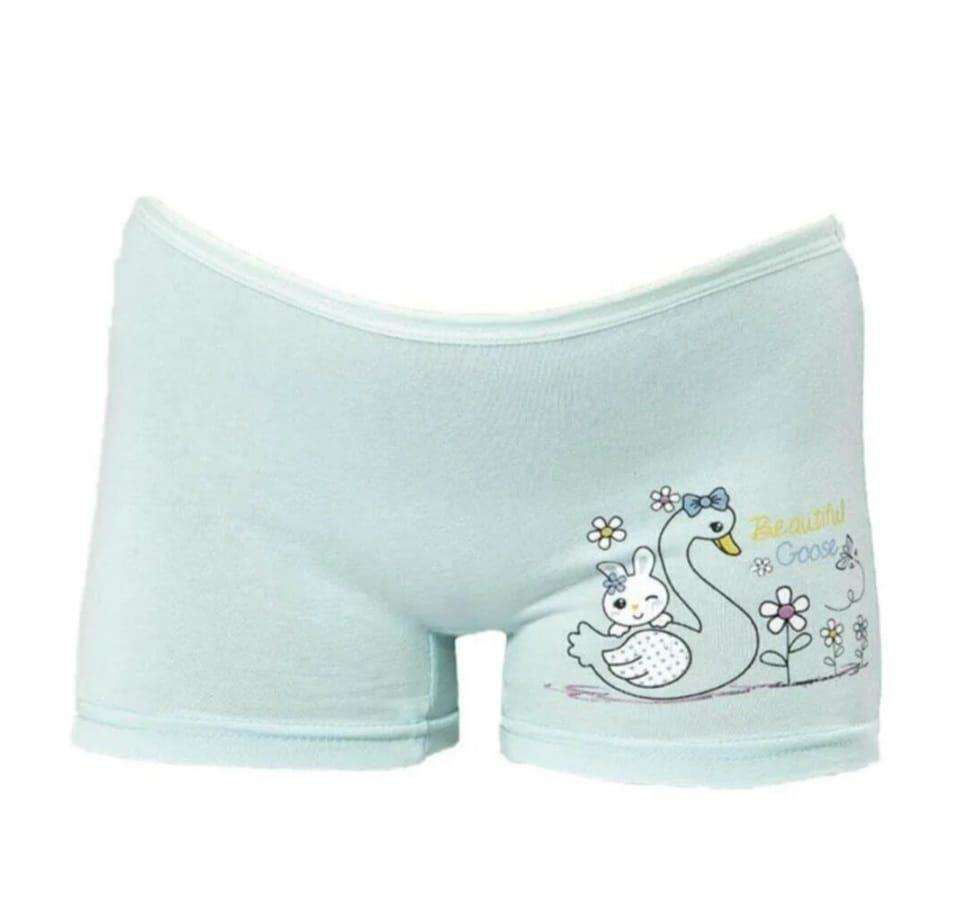 KOTA 3409 KIZ ÇOCUK RENKLİ BASKILI BOXER 12 ADET