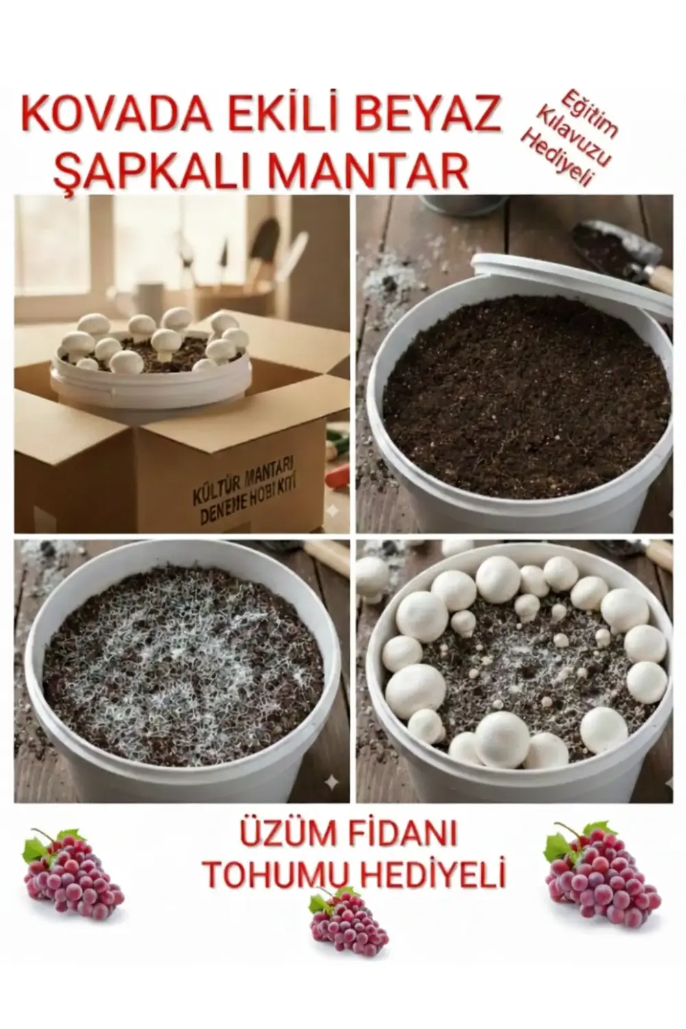 Kovada Beyaz Şapkalı Kültür Mantarı Ekili Deneme Kiti + Hediye Üz