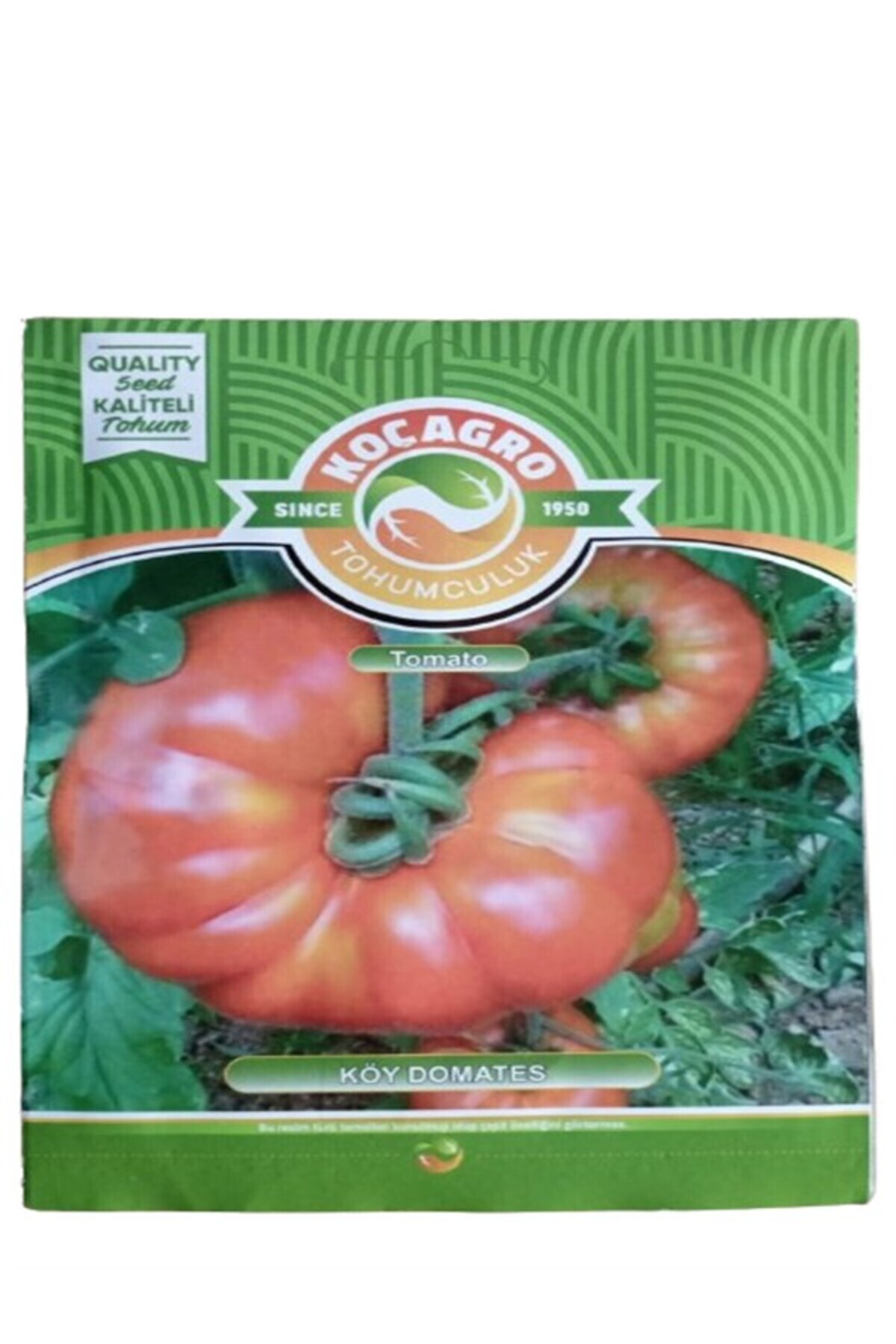 KÖY DOMATES TOHUMU