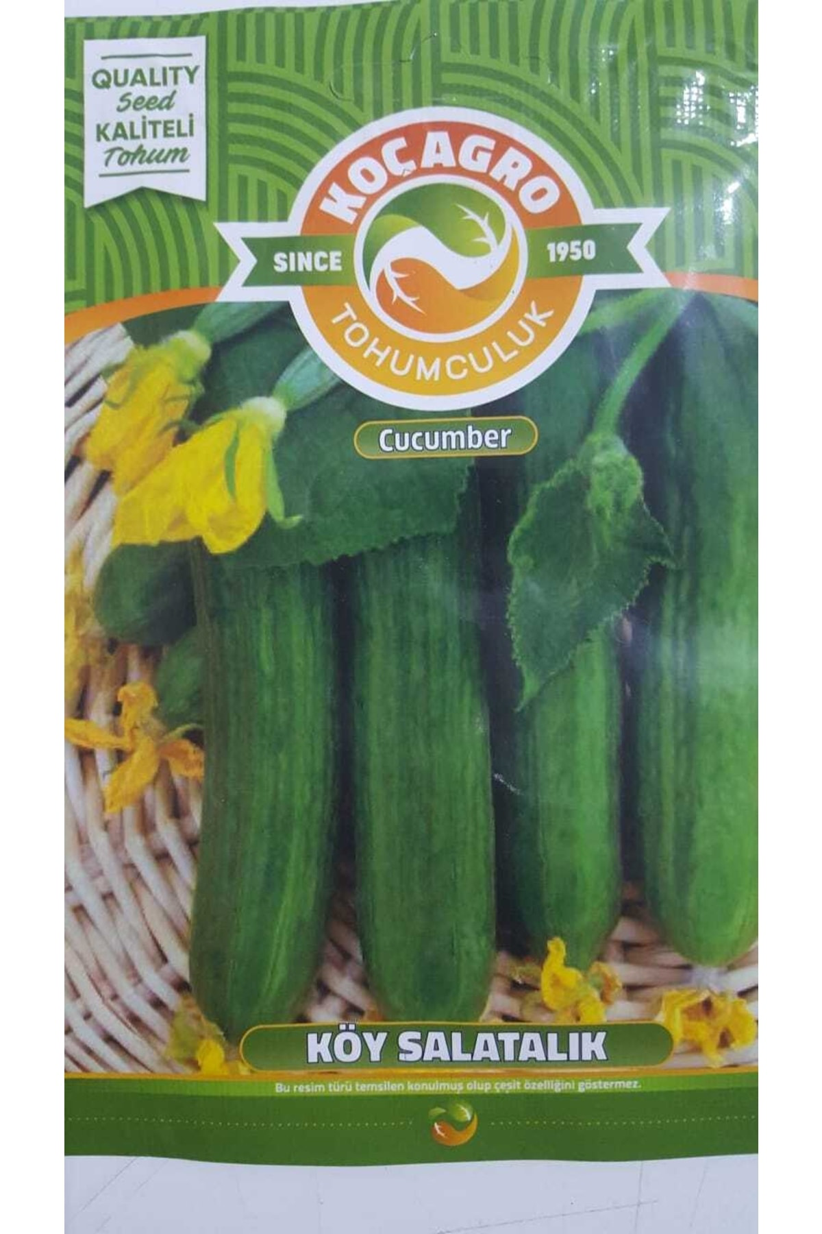 Köy Salata Tohumu Sebze Tohumlarımız Taze Ve %100 Yüksek Verimlid