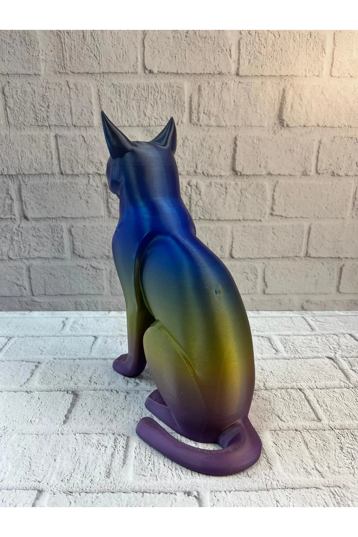 Koyu Rainbow Kedi