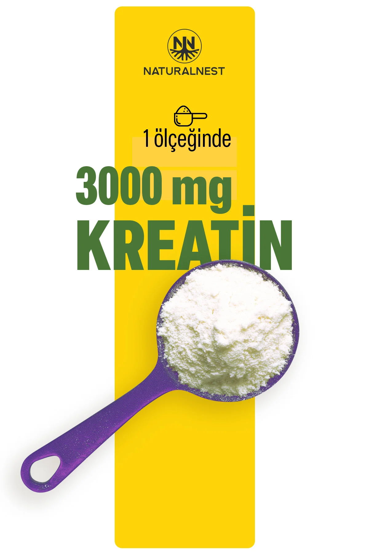 Kreatin 1 ölçeğinde 3000mg Kreatin İçerir 170,65 gr Fiyatı, Yorumları ve Özellikleri