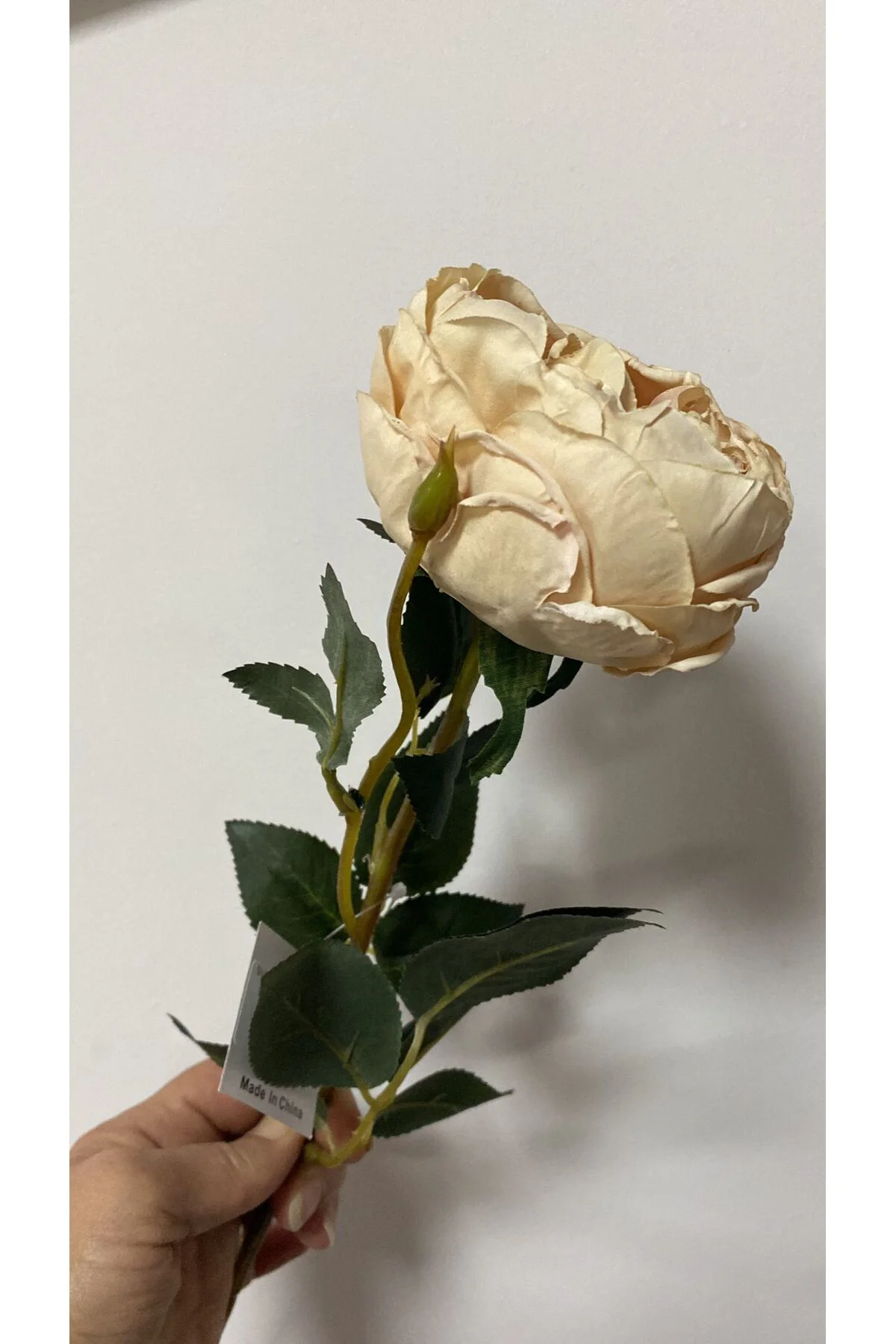 Krem Austın Gülü 60 cm
