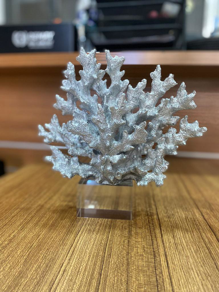 Krıstal Kaideli Mercan Biblo