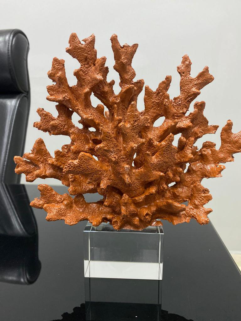 Krıstal Kaideli Mercan Biblo