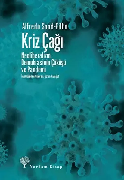 Kriz Çağı Fiyatı, Yorumları ve Özellikleri