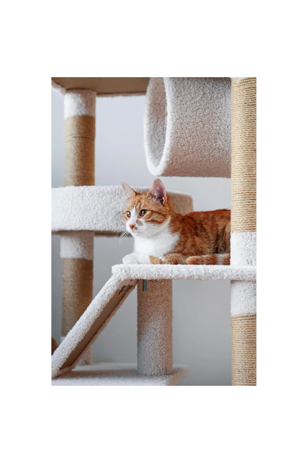 KUARA Vella Kedi Tırmalama Alanı