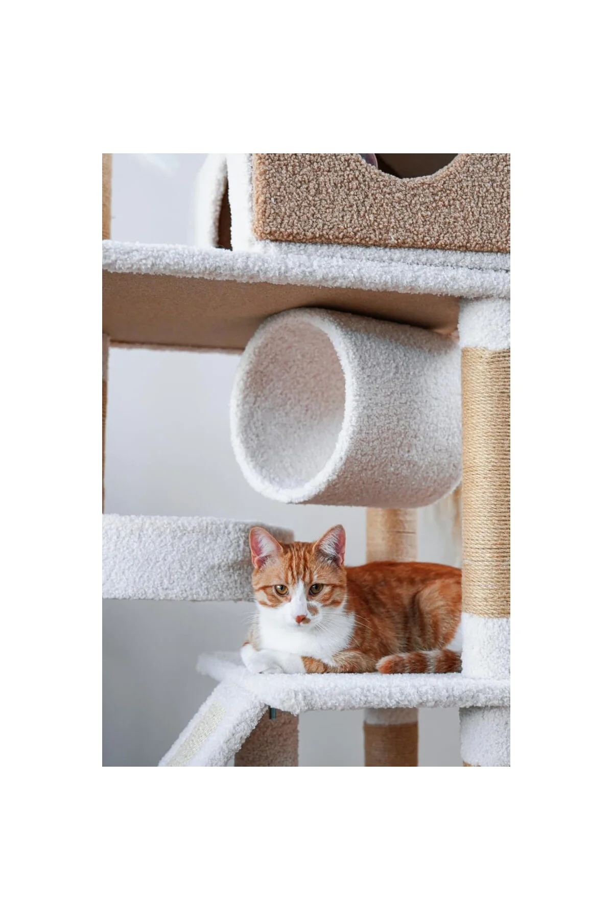 KUARA Vella Kedi Tırmalama Alanı
