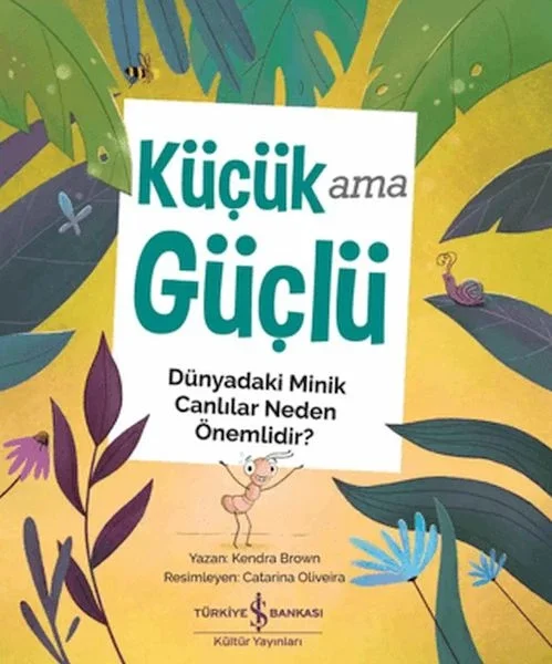 Küçük Ama Güçlü Fiyatı, Yorumları ve Özellikleri
