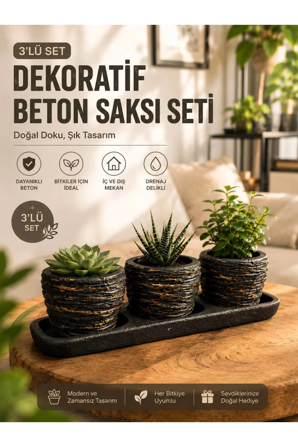 Küçük Boy Siyah Beton Saksı 3'lü Set 5,5 Cm Üretim Saksıları İçin Tabaklı Fiyatı, Yorumları ve Özellikleri