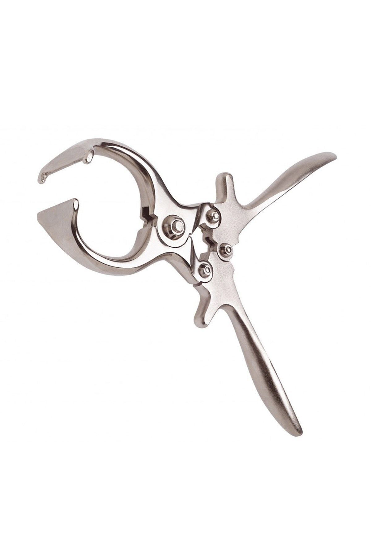 Küçük Burdizo Pensi