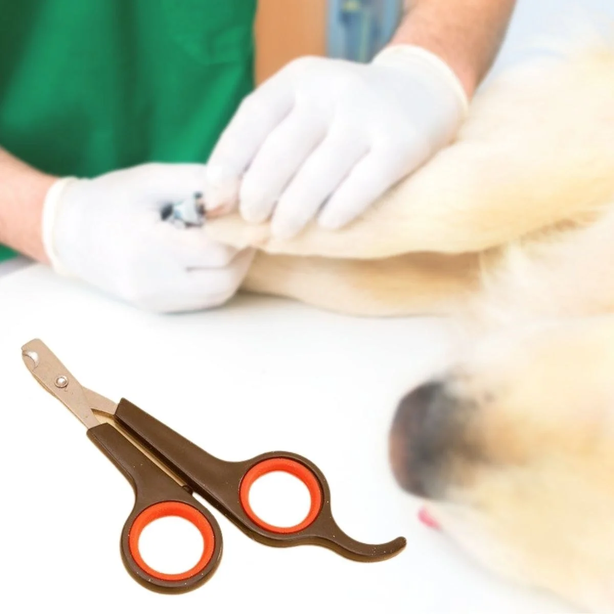 Küçük Çelik Uçlu Kedi Köpek Evcil Hayvan Tırnak Makası Pati Bakım Aleti Ergonomik Kaymaz Sap Bx40 Fiyatı, Yorumları ve Özellikleri