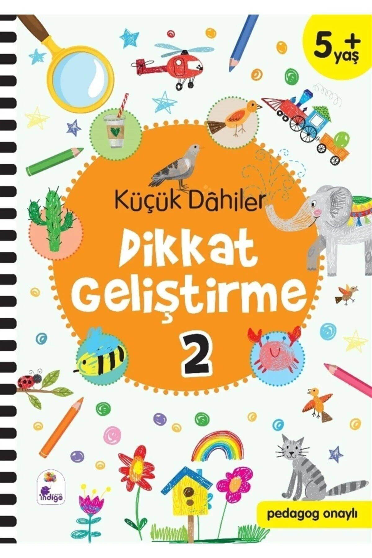 Küçük Dahiler Dikkat Geliştirme -2 5+