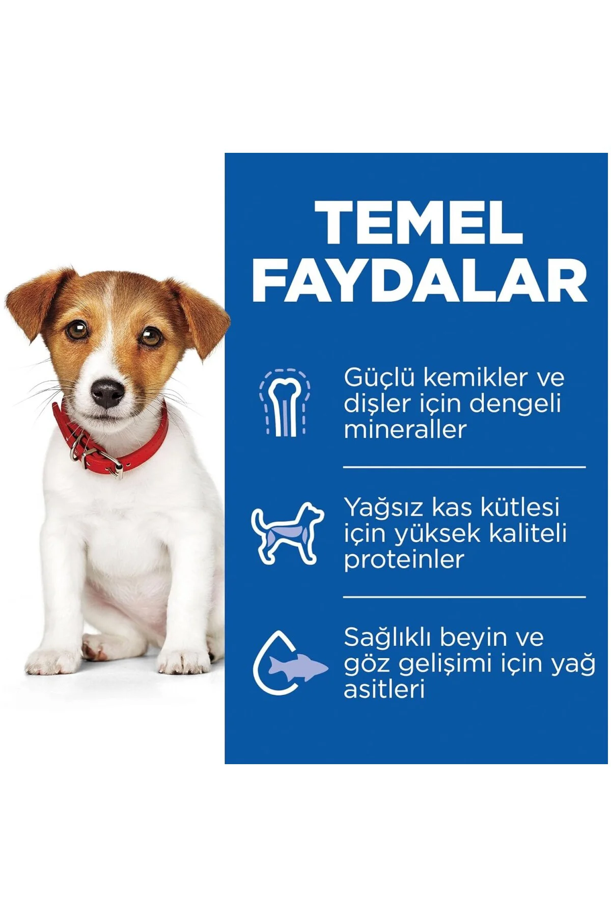 Küçük Irk Kuzulu & Pirinçli Yavru Köpek Maması 3 kg
