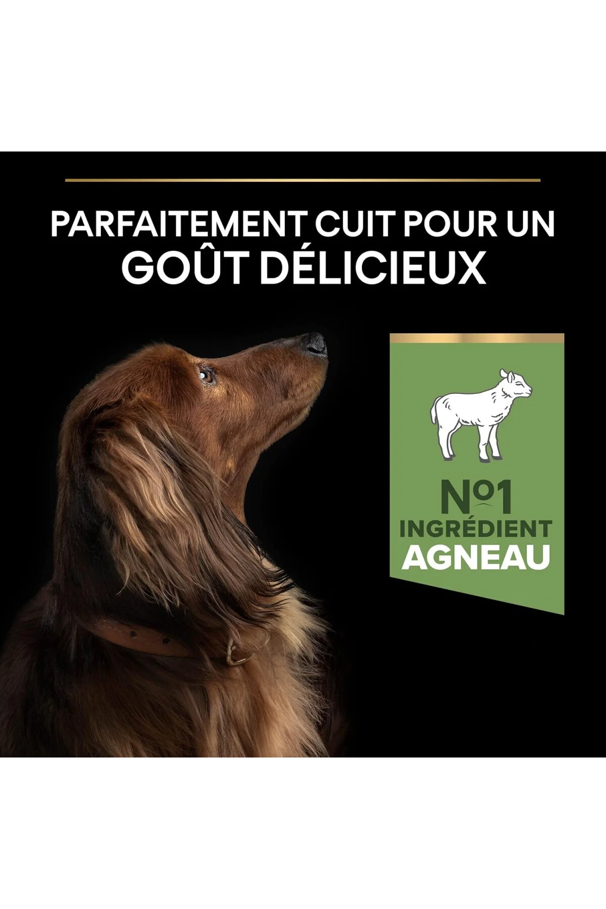 Küçük Irk Yetişkin Köpekler İçin Kuzu Etli Kuru Mama 7 Kilogram